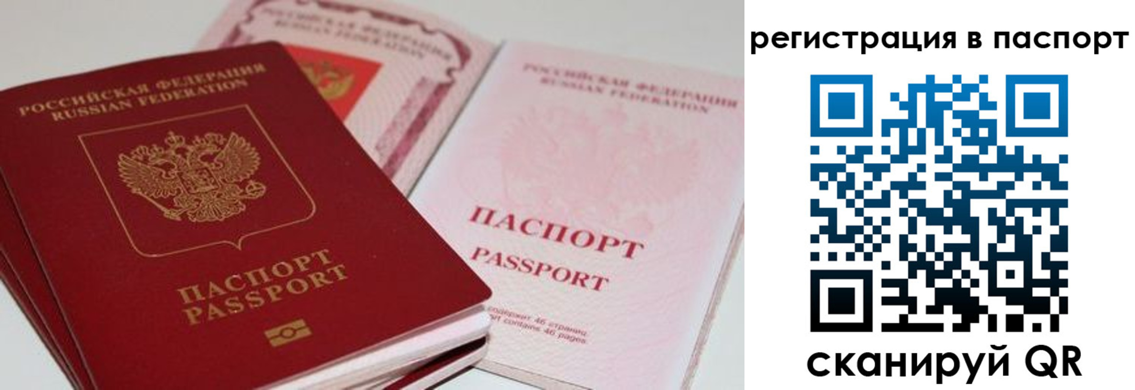 временная регистрация недорого в Новом Осколе